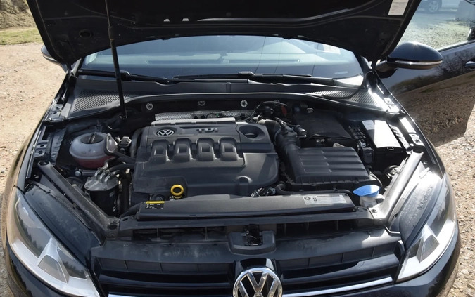 Volkswagen Golf cena 48900 przebieg: 103000, rok produkcji 2016 z Lipno małe 106